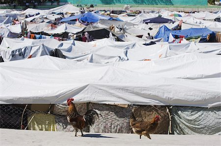 New tent city after the January 2010 earthquake, Port au Prince, Haiti, West Indies, Caribbean, Central America Foto de stock - Con derechos protegidos, Código: 841-03672767