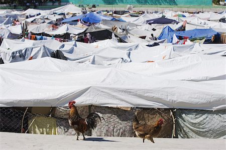 port au prince - New tent city after the January 2010 earthquake, Port au Prince, Haiti, West Indies, Caribbean, Central America Foto de stock - Con derechos protegidos, Código: 841-03672767