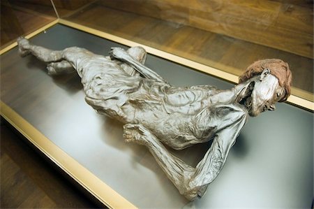 prehistoric - Preserved body of the 2000 year old Grauballe Man, Moesgard Museum of Prehistory, Arhus, Jutland, Denmark, Scandinavia, Europe Stock Photo - Rights-Managed, Code: 841-03673020