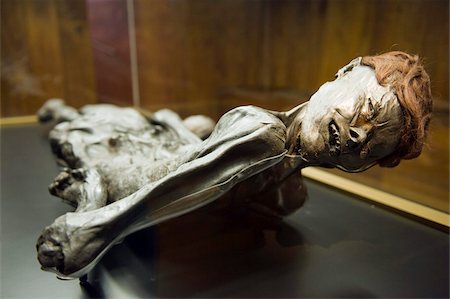 Preserved body of the 2000 year old Grauballe Man, Moesgard Museum of Prehistory, Arhus, Jutland, Denmark, Scandinavia, Europe Stock Photo - Rights-Managed, Code: 841-03673021