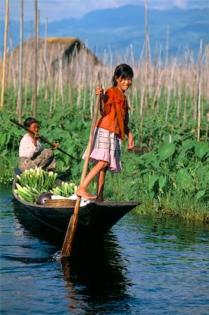 rudern - Zwiebel, schwebende Felder, Inle-See, Shan State, Myanmar (Birma), Asien Stockbilder - Lizenzpflichtiges, Bildnummer: 841-03673155