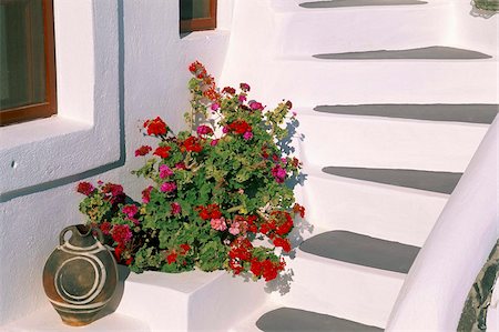 simsearch:841-03673211,k - Imerovigli, island of Santorini (Thira), Cyclades Islands, Aegean, Greek Islands, Greece, Europe Stock Photo - Rights-Managed, Code: 841-03673240