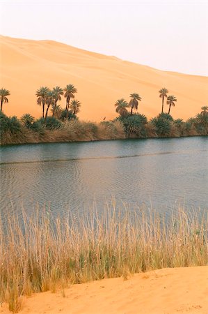 simsearch:841-02920006,k - Lac, Erg Oubari, Sahara desert, Fezzan (Libye), l'Afrique du Nord, Afrique Photographie de stock - Rights-Managed, Code: 841-03673438