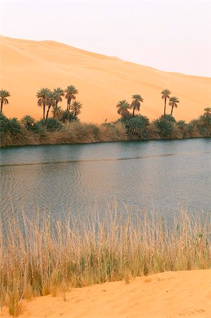 erg ubari - Lake, Erg Ubari, Sahara desert, Fezzan, Libya, North Africa, Africa Stock Photo - Rights-Managed, Code: 841-03673438