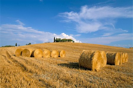 Hay bales, Val d'Orcia, Siena province, Tuscany, Italy, Europe Foto de stock - Con derechos protegidos, Código: 841-03673471
