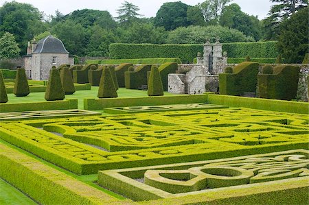 Box hedging and topiary on a terrace at Pitmedden Garden, Ellon, Aberdeenshire, Scotland, United Kingdom, Europe Foto de stock - Con derechos protegidos, Código: 841-03867804