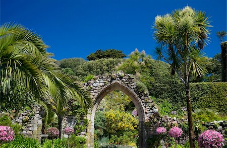 A stone arch, remains of the 12 century Priory of St. Nicholas, surrounded by palm trees and subtropical succulents in The Abbey Gardens, Tresco, Isles of Scilly, United Kingdom, Europe Foto de stock - Con derechos protegidos, Código: 841-03867809