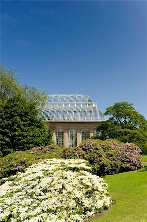 La serre des palmiers entourée de rhododendrons et d'hortensias at The Royal Botanic Garden, Edinburgh, Ecosse, Royaume-Uni, Europe Photographie de stock - Rights-Managed, Code: 841-03867800