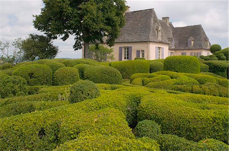 Elaborate topiary surrounding the chateau at Les Jardins de Marqueyssac in Vezac, Dordogne, France, Europe Foto de stock - Con derechos protegidos, Código: 841-03867859