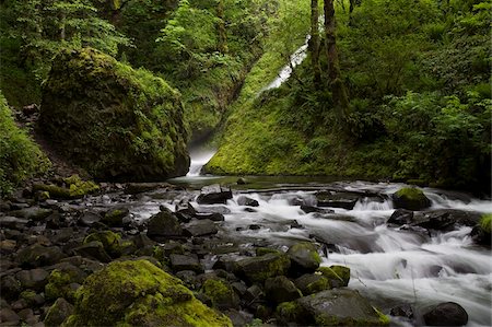 Bridal Veil Falls, Columbia River Gorge, Oregon, United States of America, North America Fotografie stock - Rights-Managed, Codice: 841-03868125