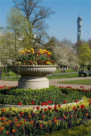 park of tulips - Spring display of tulips, Regent's Park, London NW1, England, United Kingdom, Europe Stock Photo - Rights-Managed, Code: 841-03868162