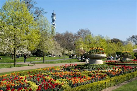 park of tulips - Spring display of tulips, Regent's Park, London, England, United Kingdom, Europe Stock Photo - Rights-Managed, Code: 841-03868173