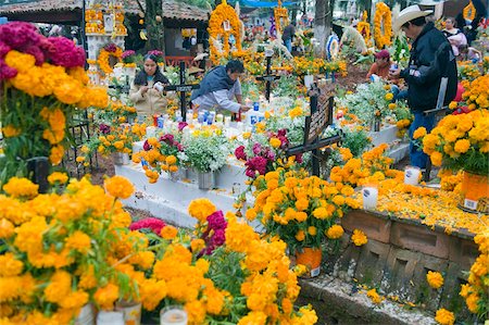 day of the dead - A flower covered grave, Dia de Muertos (Day of the Dead) celebrations in a cemetery in Tzintzuntzan, Lago de Patzcuaro, Michoacan state, Mexico, North America Stock Photo - Rights-Managed, Code: 841-03868571