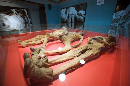 squelette - État de Museo de Las Momias (Musée des momies), Guanajuato, Guanajuato, Mexique, Amérique du Nord Photographie de stock - Rights-Managed, Code: 841-03868618