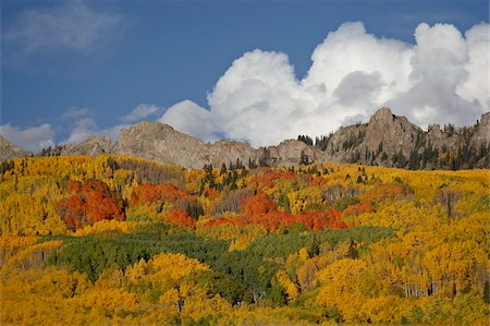 The Dyke with the fall colours, Grand Mesa-Uncompahgre-Gunnison National Forest, Colorado, United States of America, North America Foto de stock - Direito Controlado, Número: 841-03869090