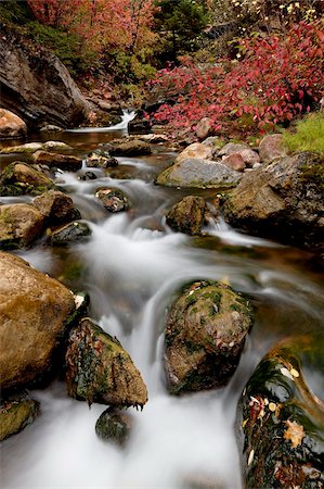 simsearch:632-05604175,k - Cascades on Peteetneet Creek with red maples in the fall, Nebo Loop, Uinta National Forest, Utah, United States of America, North America Foto de stock - Con derechos protegidos, Código: 841-03869198