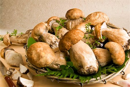 simsearch:841-06446938,k - Porcini (penny bun) (cep) mushrooms, (Boletus edulis), Italy, Europe Stock Photo - Rights-Managed, Code: 841-03869268