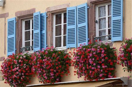 Traditional window flowerboxes and wooden shutters at Eguisheim, Alsatian Wine Road, Haut Rhin, Alsace, France, Europe Stock Photo - Rights-Managed, Code: 841-03869436