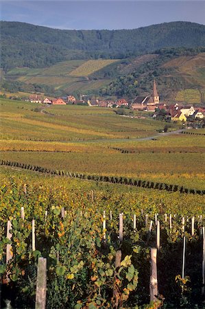 Niedermorschwihr, village de la route des vins d'Alsace et son unique tordu clocher, des vignes, Haut Rhin, Alsace, France, Europe Photographie de stock - Rights-Managed, Code: 841-03869466