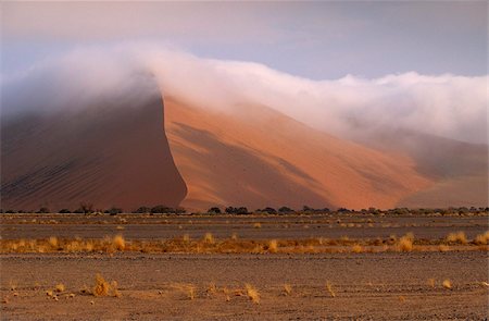 Brume matinale sur les dunes de sable rouge s'élevant à 300 m, dans la vallée de Sossusvlei, Namib-Naukluft Park, Namibie, Afrique Photographie de stock - Rights-Managed, Code: 841-03869463