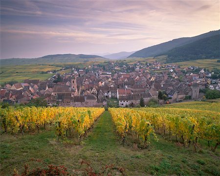riquewihr - Riquewihr, emblematic medieval village of the Alsatian Wine Road, from the vineyards, Haut Rhin, Alsace, France, Europe Foto de stock - Con derechos protegidos, Código: 841-03869477
