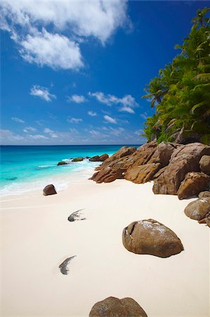 simsearch:841-03868730,k - Deserted beach, La Digue, Seychelles, Indian Ocean, Africa Stock Photo - Rights-Managed, Code: 841-03869764