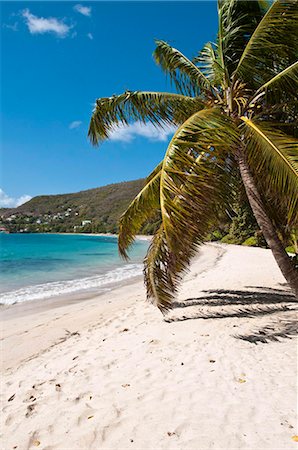 Friendship Bay beach, Bequia, St. Vincent and The Grenadines, Windward Islands, West Indies, Caribbean, Central America Stock Photo - Rights-Managed, Code: 841-03869770