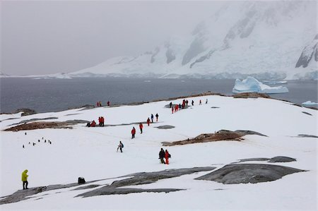 simsearch:841-03057757,k - Tourists explore Pleneau Island on the Antarctic Peninsula, Antarctica, Polar Regions Foto de stock - Con derechos protegidos, Código: 841-03869843