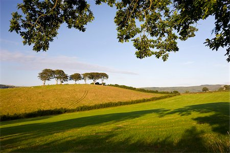 simsearch:841-03869889,k - Sommerzeit Exmoor Landschaft Szene zwischen den Dörfern von Horner und Luccombe, Exmoor-Nationalpark, Somerset, England, Vereinigtes Königreich, Europa Stockbilder - Lizenzpflichtiges, Bildnummer: 841-03869888