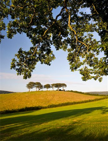 exmoor - Summertime Exmoor countryside scene between the villages of Horner and Luccombe, Exmoor National Park, Somerset, England, United Kingdom, Europe Stock Photo - Rights-Managed, Code: 841-03869889