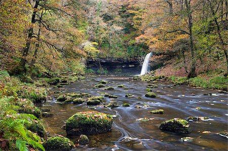 simsearch:841-03869928,k - Sgwd Gwladus waterfall surrounded by autumnal foliage, near Ystradfellte, Brecon Beacons National Park, Powys, Wales, United Kingdom, Europe Stock Photo - Rights-Managed, Code: 841-03869924