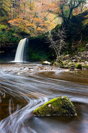 simsearch:841-03869928,k - Sgwd Gwladus waterfall surrounded by autumnal foliage, near Ystradfellte, Brecon Beacons National Park, Powys, Wales, United Kingdom, Europe Stock Photo - Rights-Managed, Code: 841-03869925