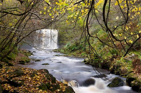 simsearch:841-03869928,k - Sgwd yr Eira waterfall on the Afon Mellte river near Ystradfellte, Brecon Beacons National Park, Powys, Wales, United Kingdom, Europe Stock Photo - Rights-Managed, Code: 841-03869921