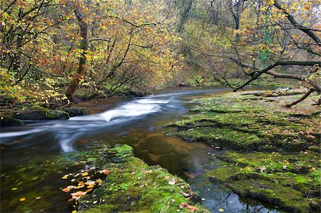 simsearch:841-03869916,k - Automne paysage de fleuve Nedd Fechan, près de Ystradfellte, Parc National de Brecon Beacons, Powys, pays de Galles, Royaume-Uni, Europe Photographie de stock - Rights-Managed, Code: 841-03869922