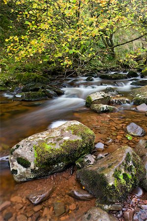 simsearch:6119-07943835,k - Autumn river scene on the River Caerfanell at Blaen-y-glyn, Brecon Beacons National Park, Powys, Wales, United Kingdom, Europe Stock Photo - Rights-Managed, Code: 841-03869930