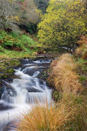 simsearch:841-03869928,k - The River Caerfanell at Blaen-y-glyn, Brecon Beacons National Park, Powys, Wales, United Kingdom, Europe Stock Photo - Rights-Managed, Code: 841-03869932