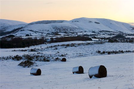 simsearch:841-06806919,k - Snow covered bracken bales on Mynydd Illtud Common backed by snowy mountains, Brecon Beacons National Park, Powys, Wales, United Kingdom, Europe Stock Photo - Rights-Managed, Code: 841-03869948