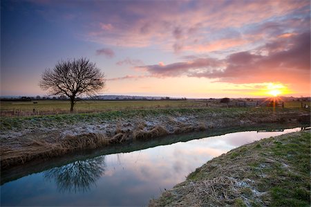 Sunrise over the River Brue on the Somerset Levels, Glastonbury, Somerset, England, United Kingdom, Europe Foto de stock - Con derechos protegidos, Código: 841-03869966