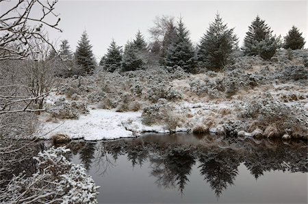 simsearch:841-02944789,k - Snow dusted pine trees and moorland landscape beside Fernworthy Reservoir, Dartmoor National Park, Devon, England, United Kingdom, Europe Foto de stock - Direito Controlado, Número: 841-03869968