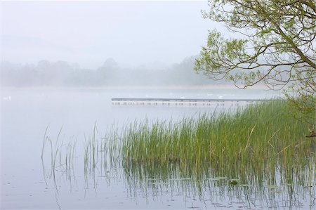 simsearch:841-03869928,k - Early morning mist shrouds Llangorse Lake in the Brecon Beacons National Park, Powys, Wales, United Kingdom, Europe Stock Photo - Rights-Managed, Code: 841-03869997