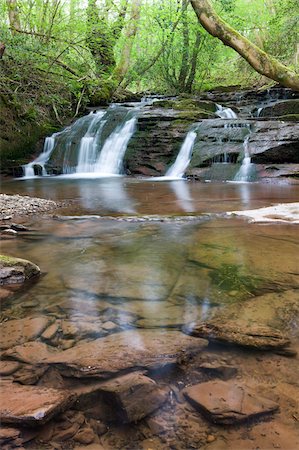 simsearch:841-03869928,k - Waterfalls on the River Ennig at Pwll-y-Wrach Nature Reserve near Talgarth, Brecon Beacons National Park, Powys, Wales, United Kingdom, Europe Stock Photo - Rights-Managed, Code: 841-03869992