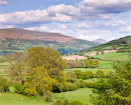 simsearch:841-03518215,k - Rolling countryside near Bwlch with views to Sugar Loaf mountain, Brecon Beacons National Park, Powys, Wales, United Kingdom, Europe Foto de stock - Direito Controlado, Número: 841-03870001