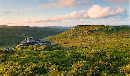 simsearch:841-03869889,k - Blick über Adlerfarn bedeckt Moorlandschaften, Holwell Tor, Dartmoor Nationalpark, Devon, England, Vereinigtes Königreich, Europa Stockbilder - Lizenzpflichtiges, Bildnummer: 841-03870029