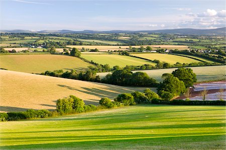 dartmoor national park - Rolling countryside near the village of Bow, looking south towards the hills of Dartmoor, Devon, England, United Kingdom, Europe Foto de stock - Con derechos protegidos, Código: 841-03870021