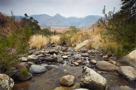 south africa and landscape - Mpofane River, Monk's Cowl Nature Reserve, Ukhahlamba-Drakensberg Park, UNESCO World Heritage Site, KwaZulu-Natal, South Africa, Africa Stock Photo - Rights-Managed, Code: 841-03870095