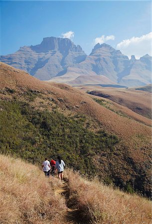 south africa mountains - People hiking in Monk's Cowl Nature Reserve with Champagne Castle in background, Ukhahlamba-Drakensberg Park, UNESCO World Heritage Site, KwaZulu-Natal, South Africa, Africa Stock Photo - Rights-Managed, Code: 841-03870099