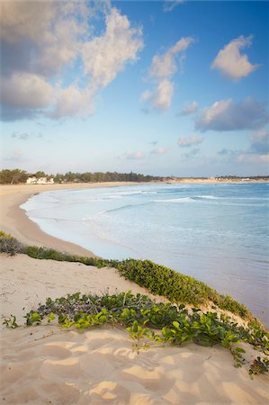 Tofo beach, Tofo, Inhambane, Mozambique, Africa Stock Photo - Rights-Managed, Code: 841-03870126