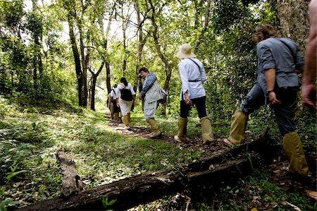 Trekking through the forest, Gavi, Thekkady, Kerala, India, Asia Stock Photo - Rights-Managed, Code: 841-03870201