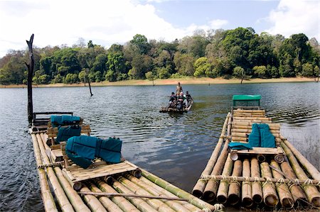 Bamboo rafting, Periyar Tiger Reserve, Thekkady, Kerala, India, Asia Foto de stock - Con derechos protegidos, Código: 841-03870202