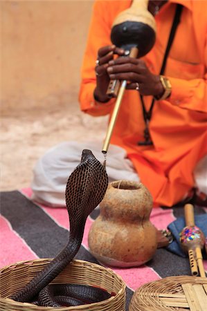 encantador de serpientes - Snake Charmer, Rajasthan, India, Asia Foto de stock - Con derechos protegidos, Código: 841-03870337